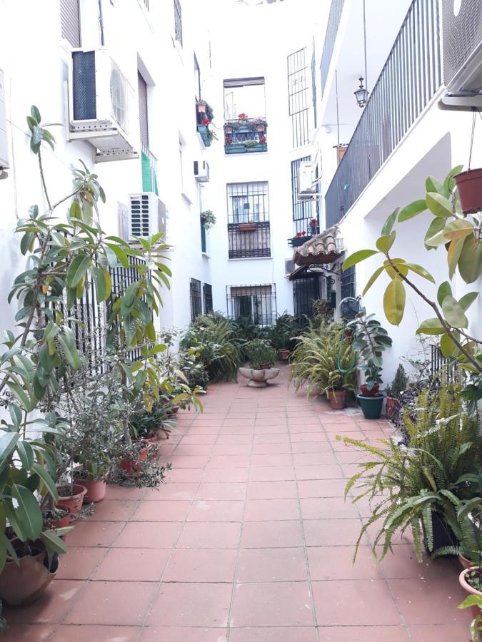 Apartamento Pleno Centro Wallada Córdoba Kültér fotó